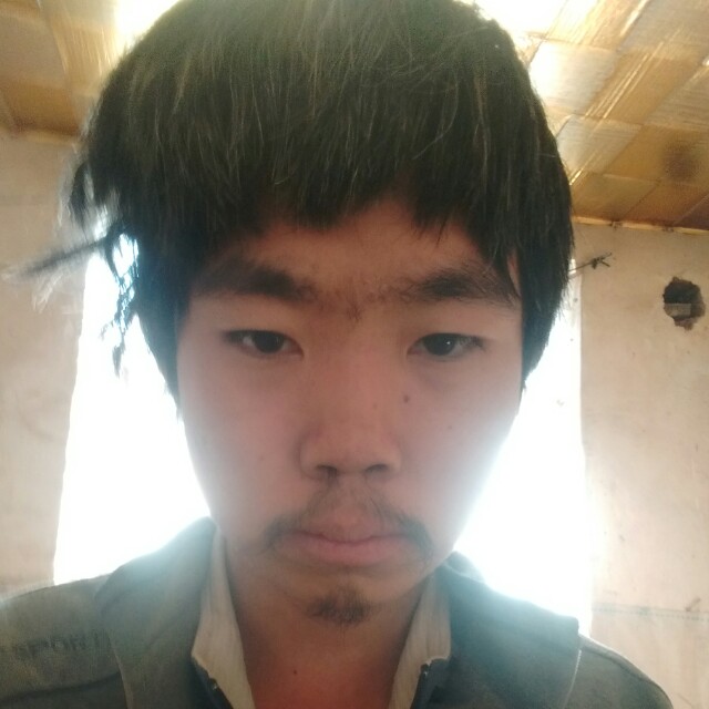 一网早天下的照片