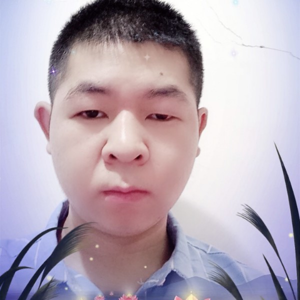 沉默的导弹的照片