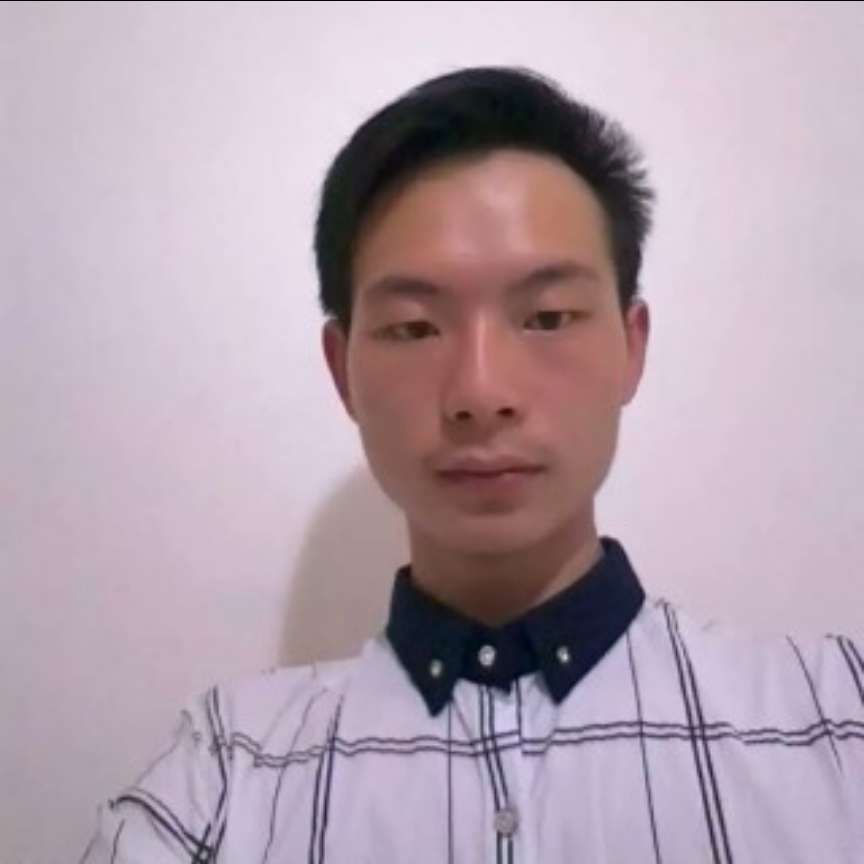 忧郁还斑马的照片