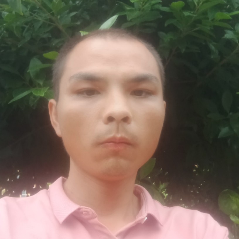 奔放的苹果。的照片