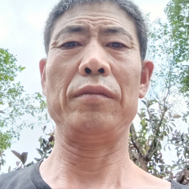 无犹的草的照片
