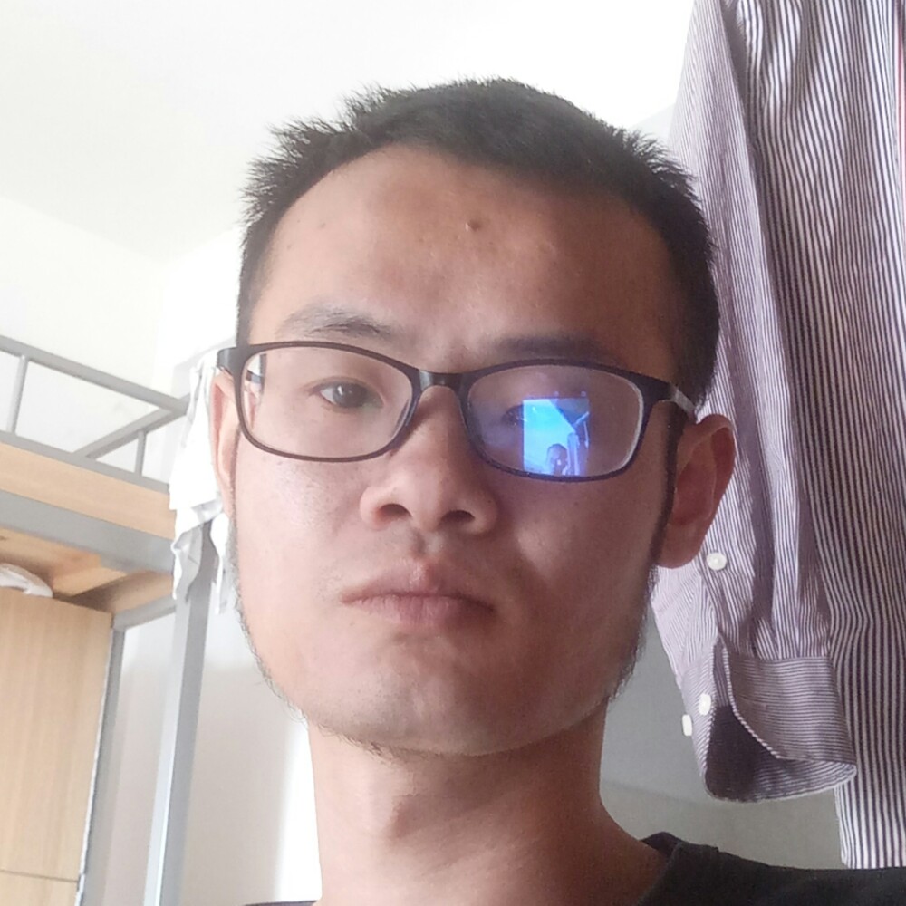 追寻小蜜蜂的照片