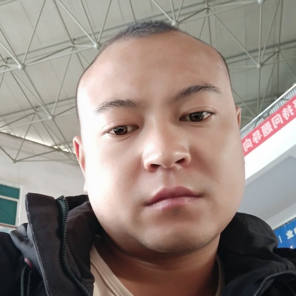 长颈鹿单身的照片