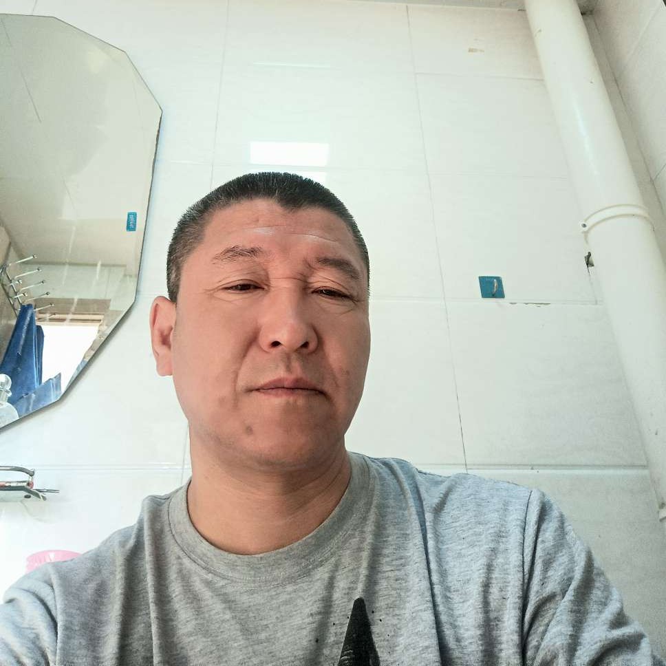 时尚方灰狼的照片