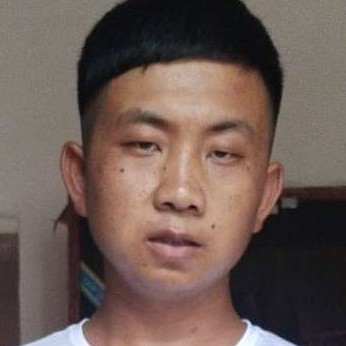 鼠标倾心震动的照片