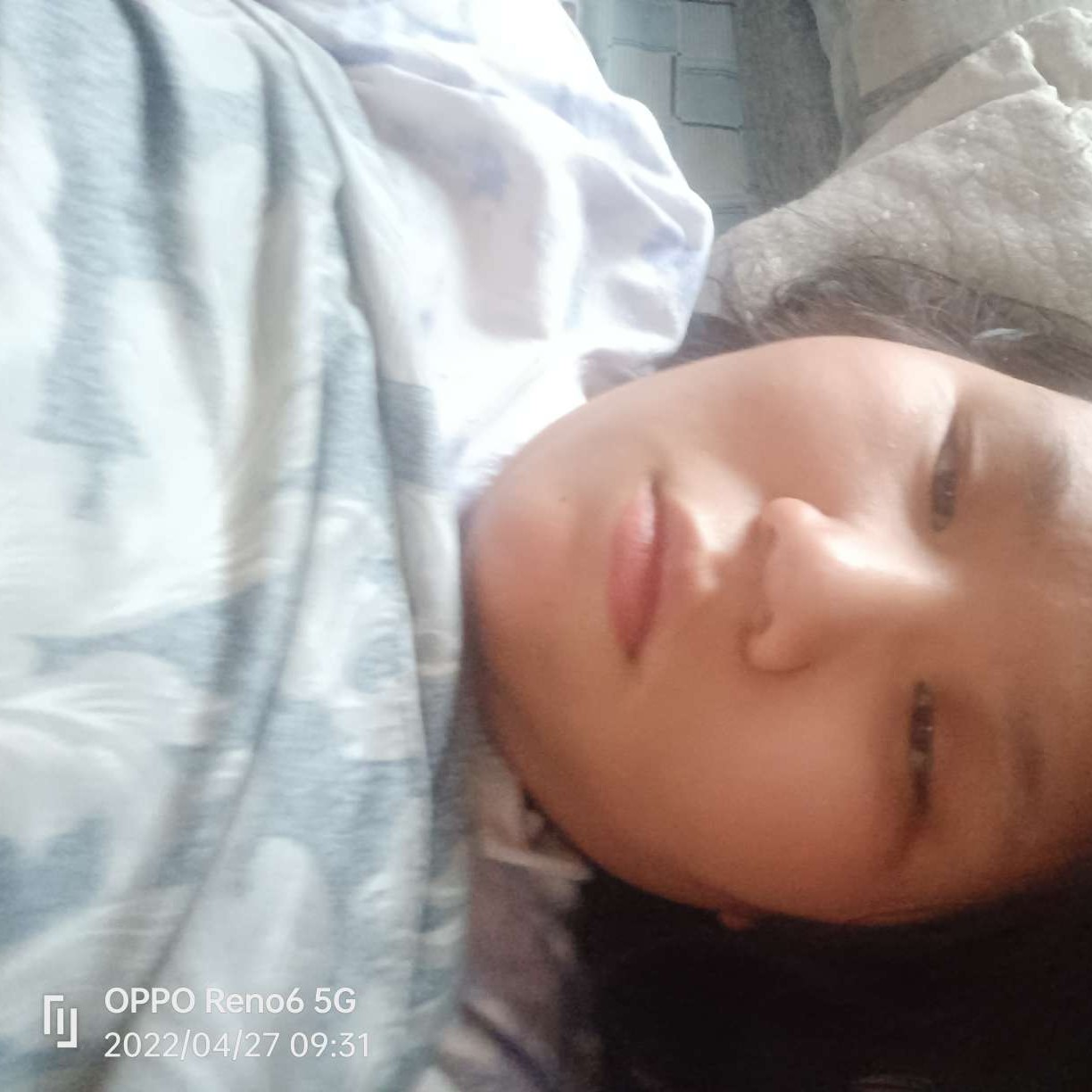 砖头泪了动听的照片