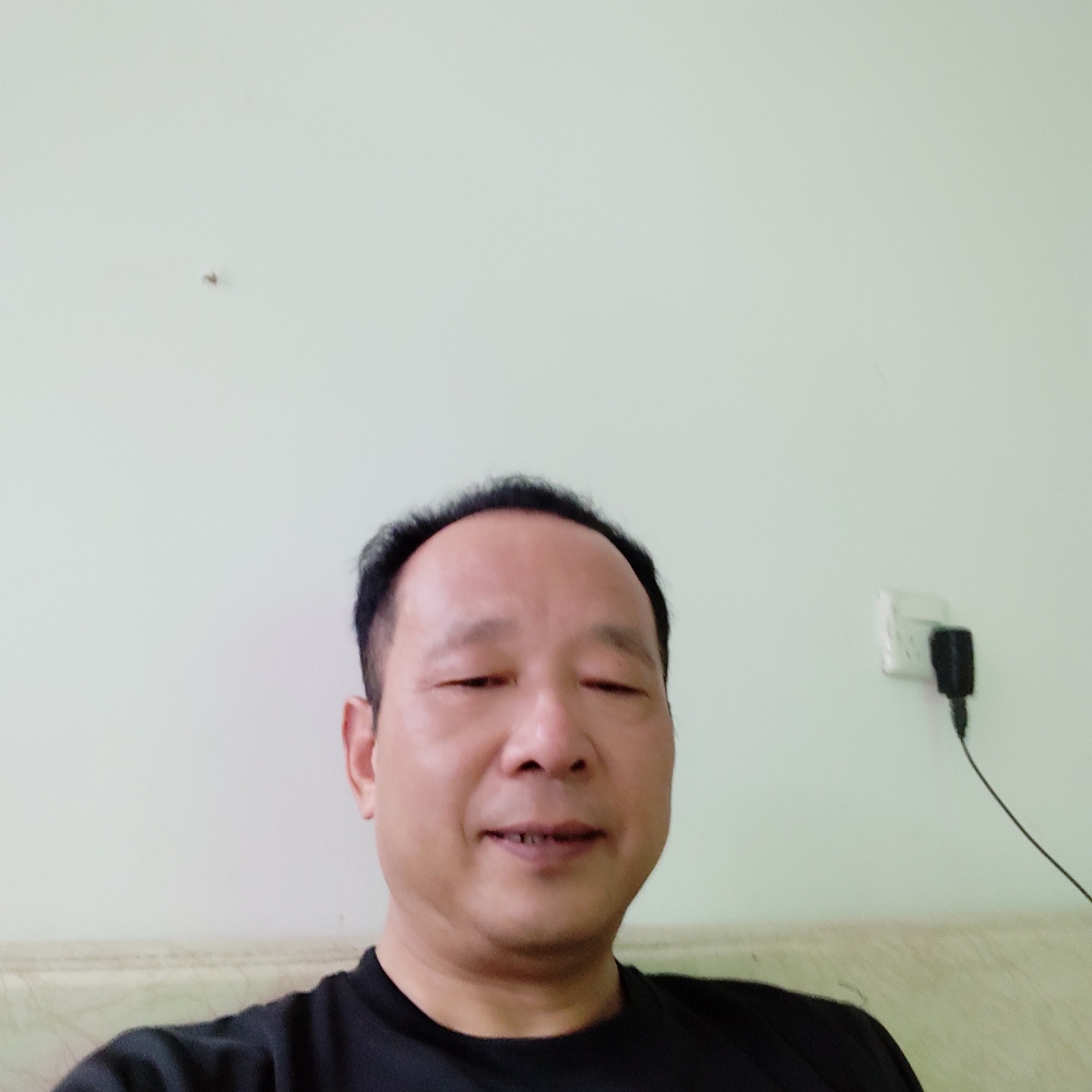 林中石的照片