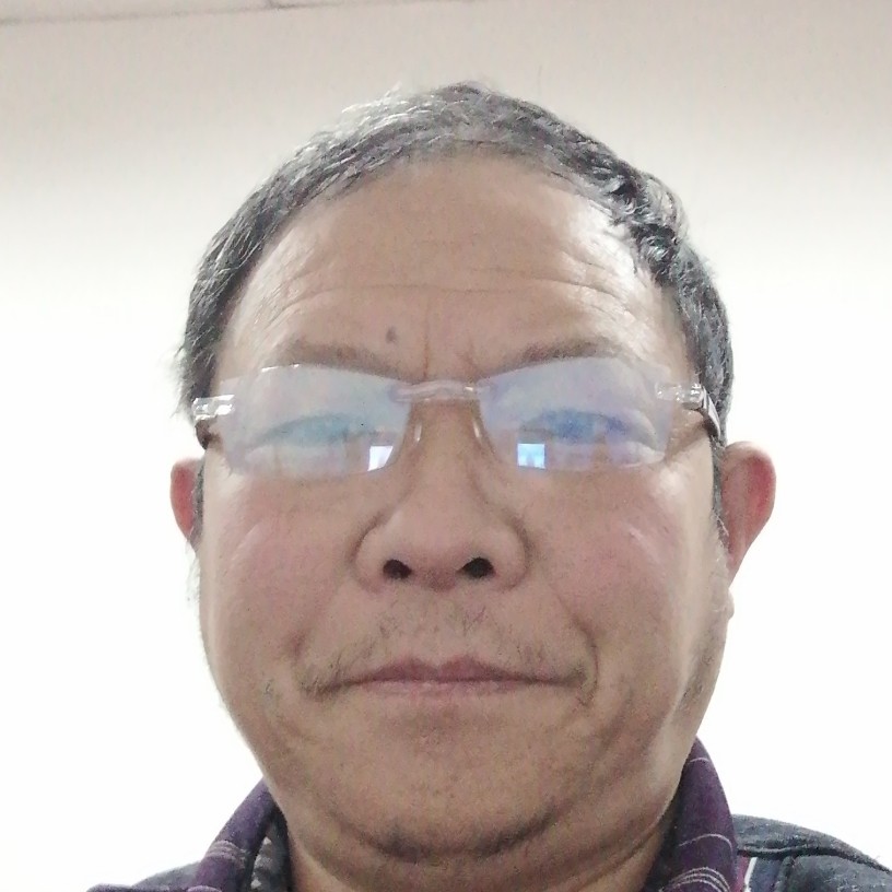 机灵等待乌龟的照片