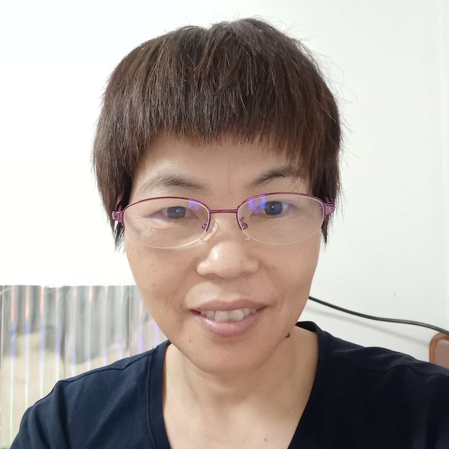 枫叶演变小巧的照片