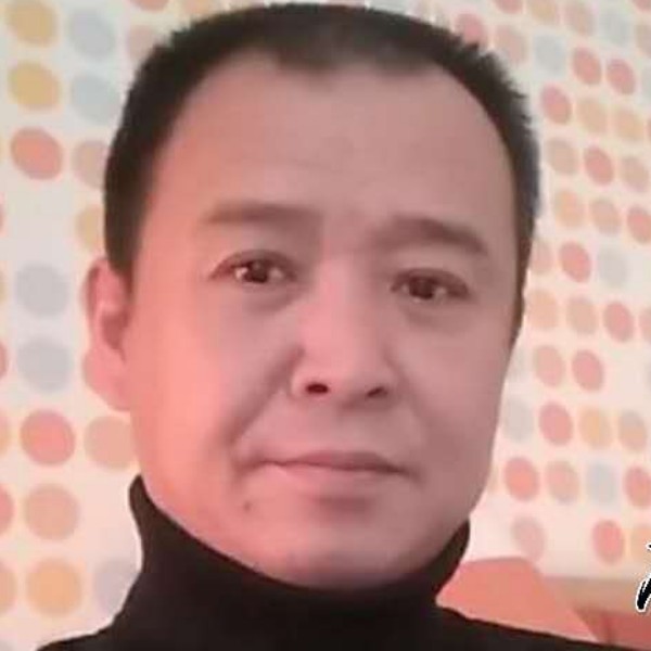 鹰击天下的照片