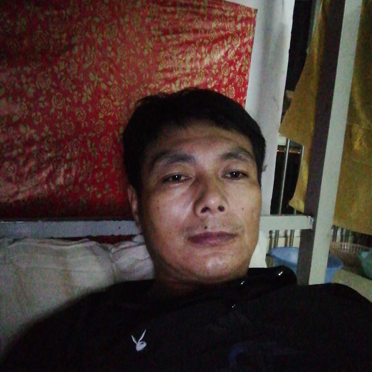 胡萝卜回眸浮生的照片