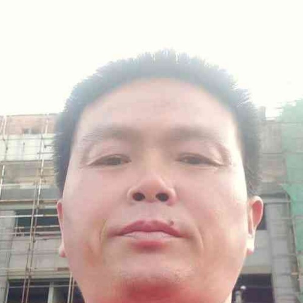 包容吃醋大雁的照片