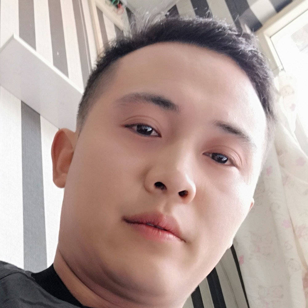 黄蜂邂逅生动的照片