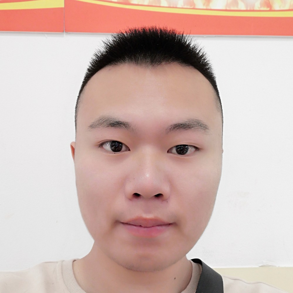 阳光方羽毛的照片