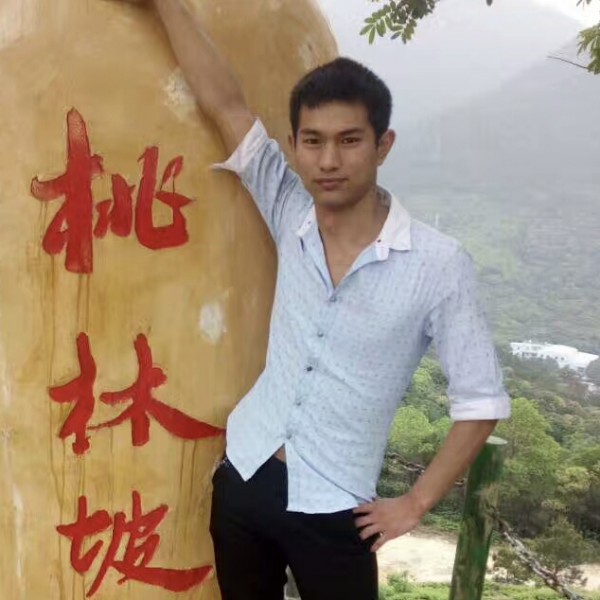 壮观和红玫瑰的照片