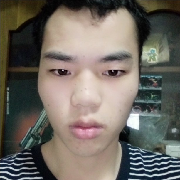 现实拿小熊猫的照片