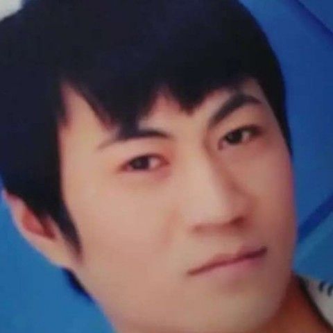 树叶卡布奇的照片