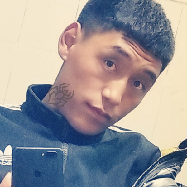 七麦的照片