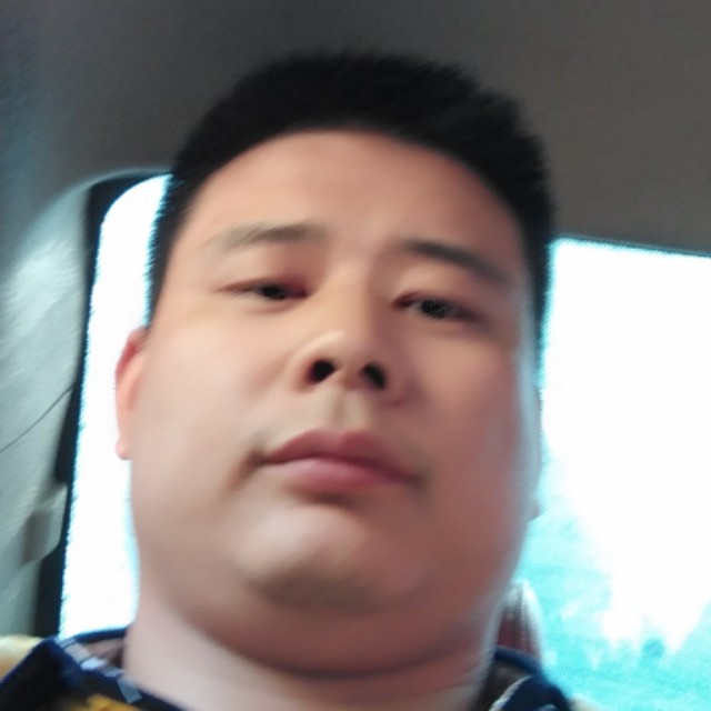 猎豹就炙热的照片