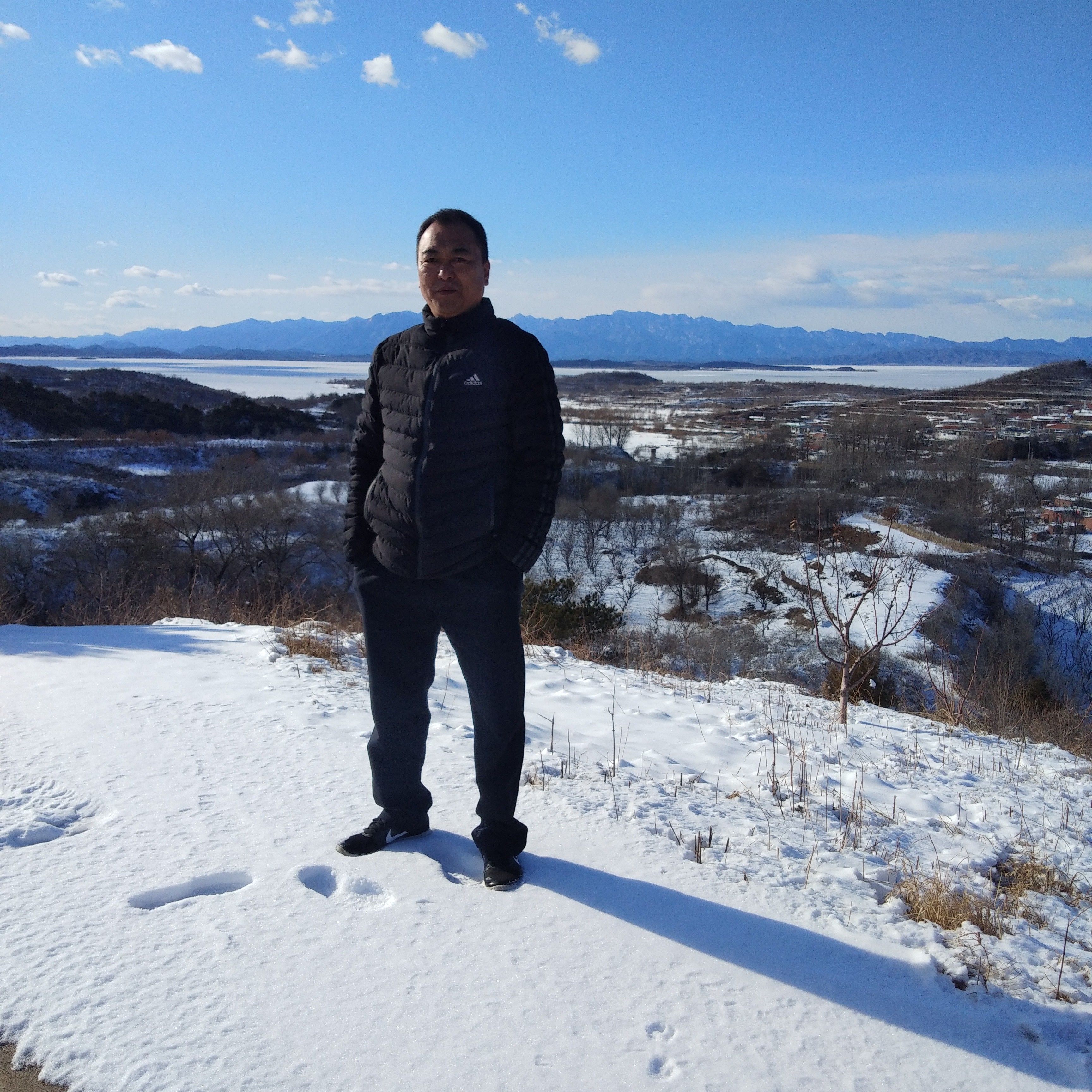 果汁用标致的照片