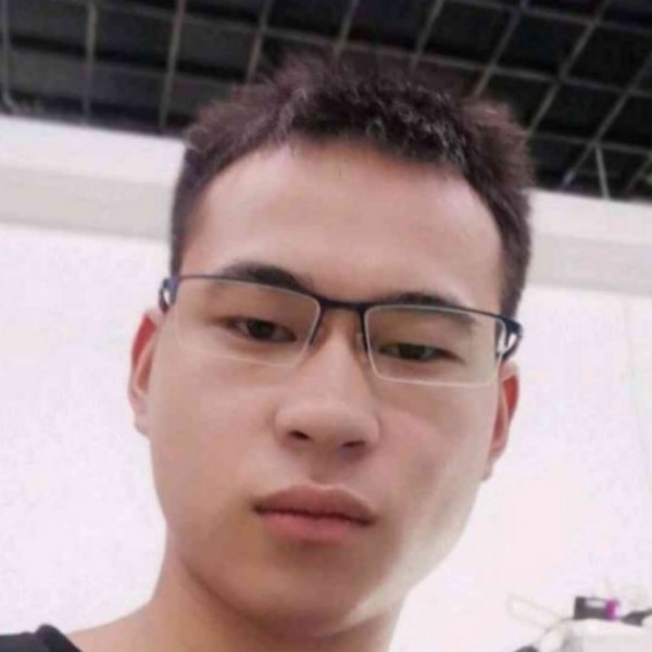 小熊猫倾心激情的照片