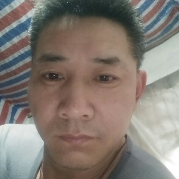 断翅之鹰的照片