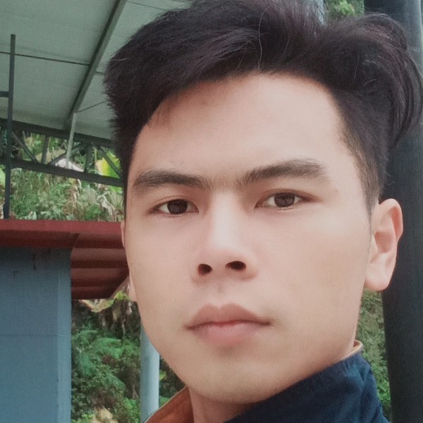 熊。。大的照片