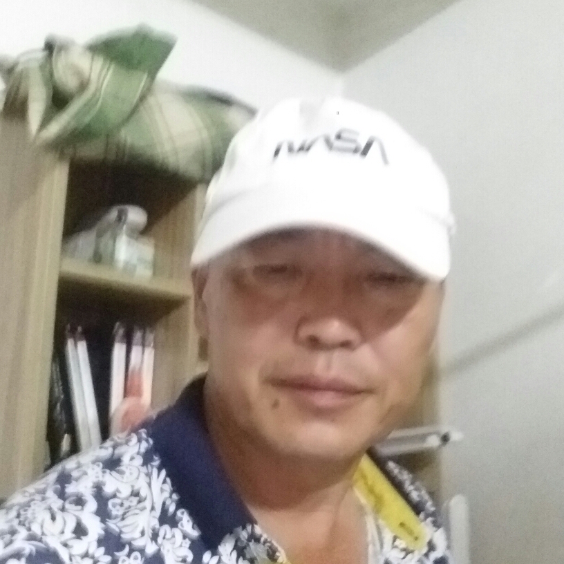 红牛蹁跹健壮的照片