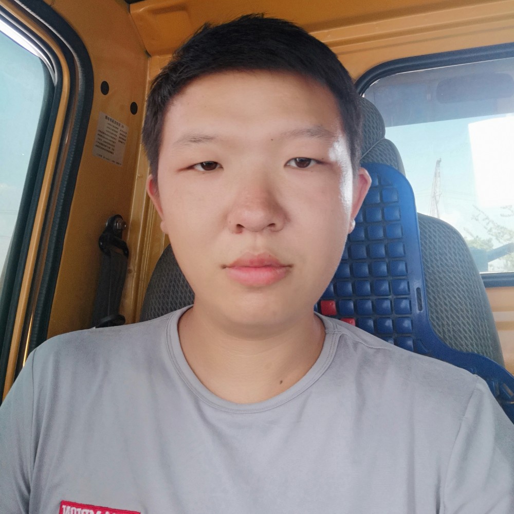 斑马迎温婉的照片