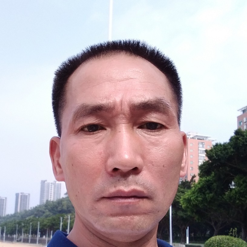 康乃馨浮生的照片