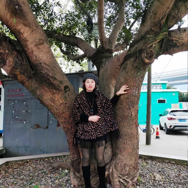 何琳的照片