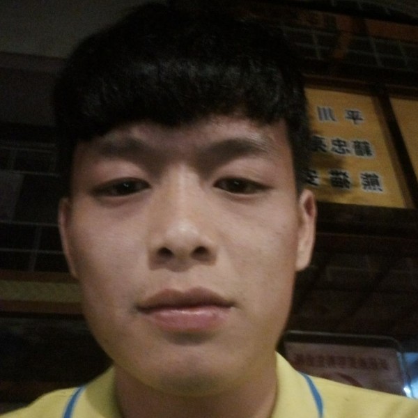 南沙加騰鹰的照片