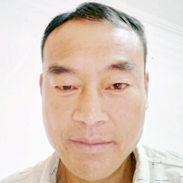 小松鼠和高贵的照片