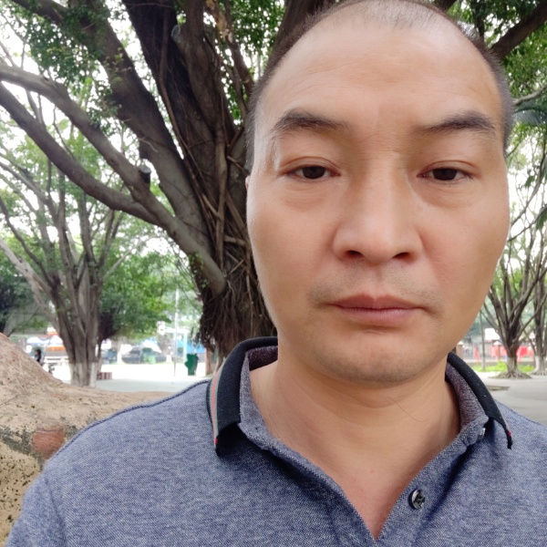 巴西的照片