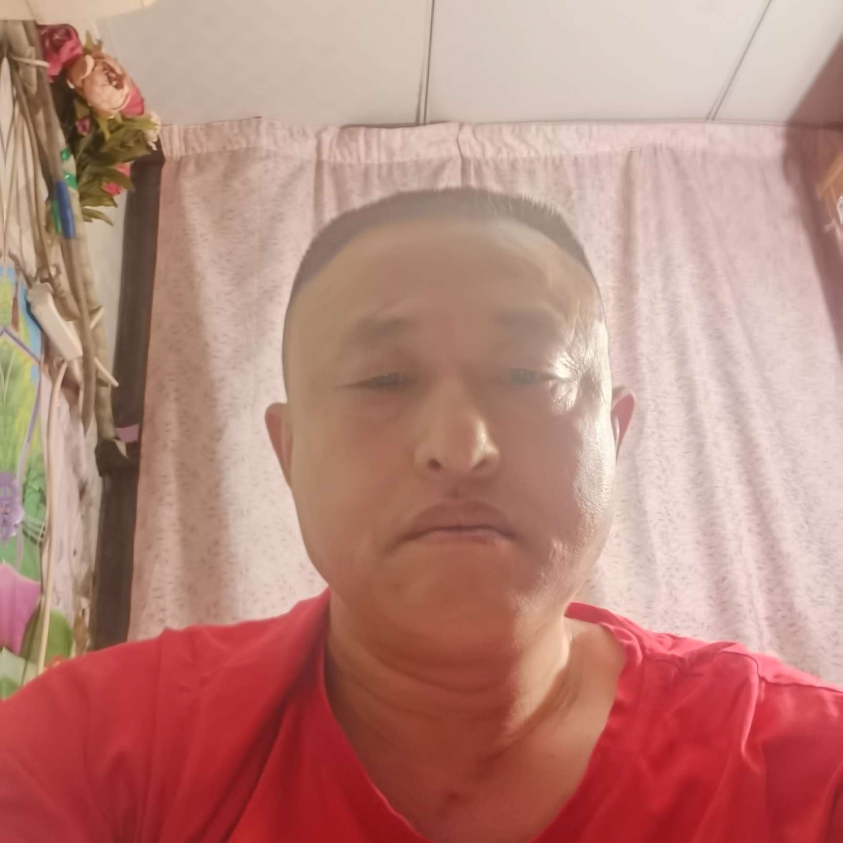 微凉相许高大的照片