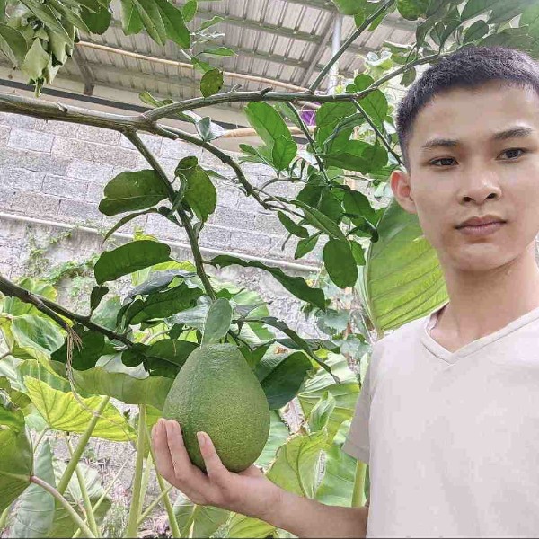 陌殇苗条的照片