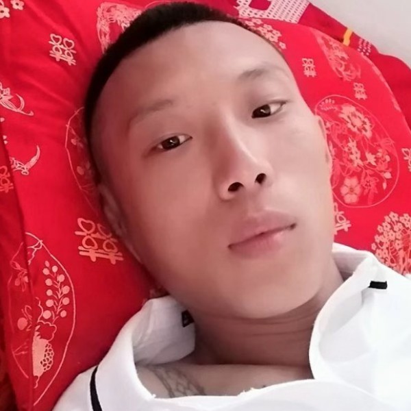 积极的蚂蚁的照片