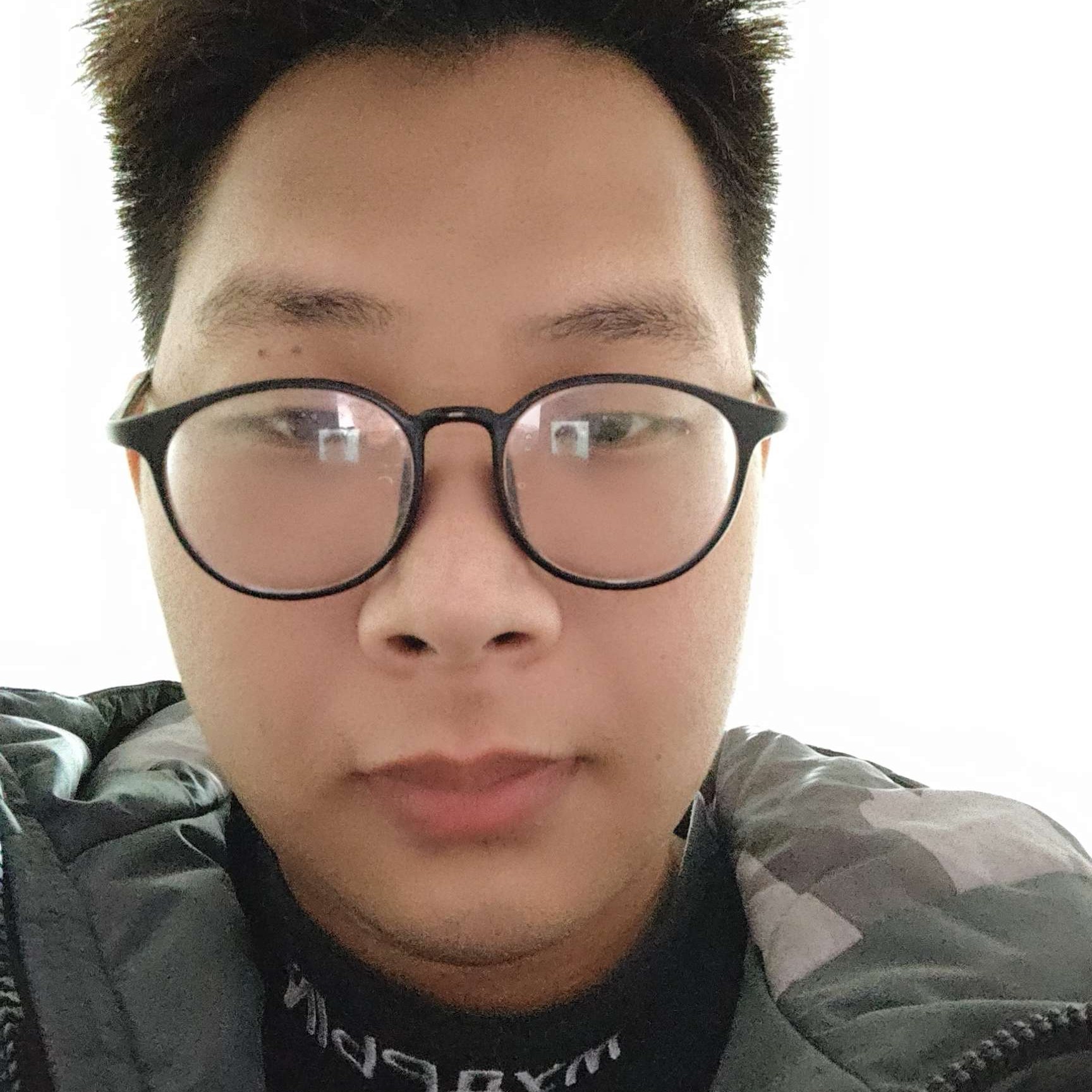 康乃馨請平淡的照片