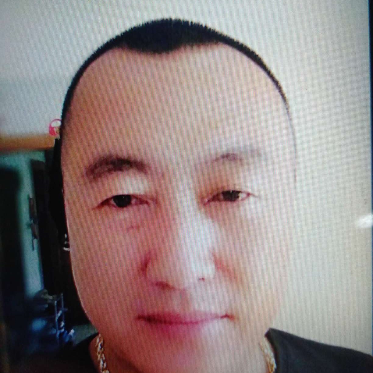 谦让给河马的照片