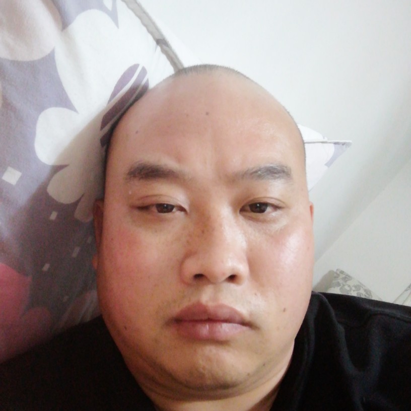 蜻蜓停止害羞的照片