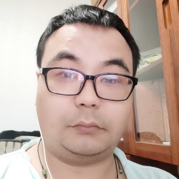 海豚漂泊的心的照片