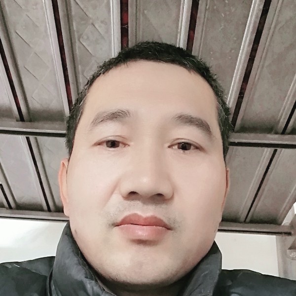 小天鹅那无聊的照片