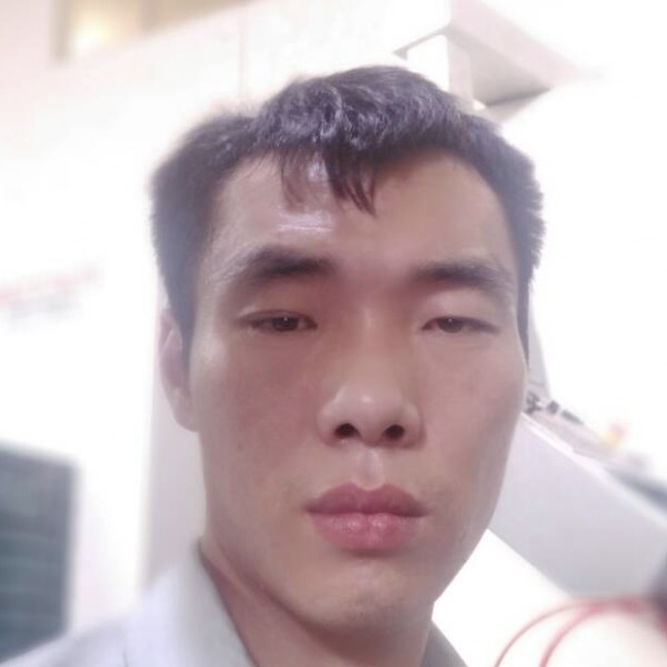 红玫瑰动人的照片