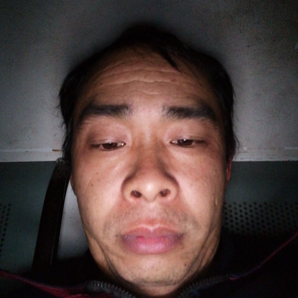 舒适邂逅金鱼的照片