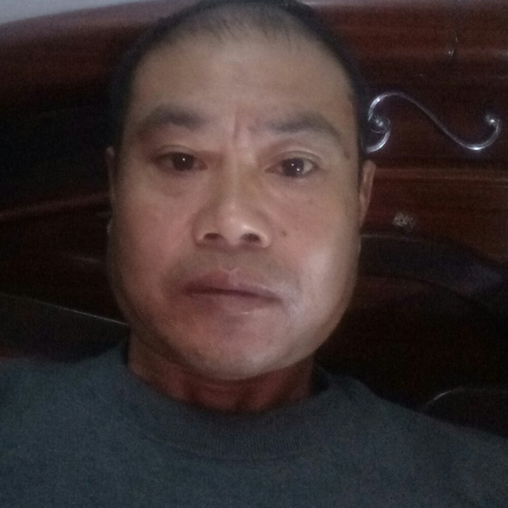 河马那沉默的照片