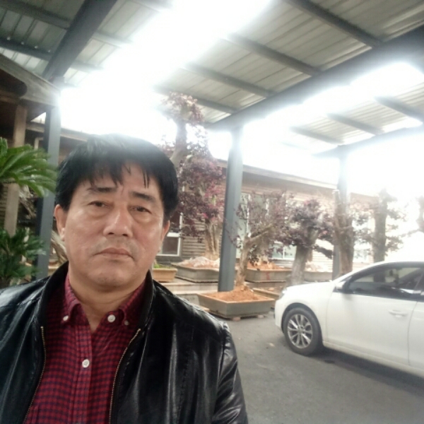 路灯回眸无私的照片
