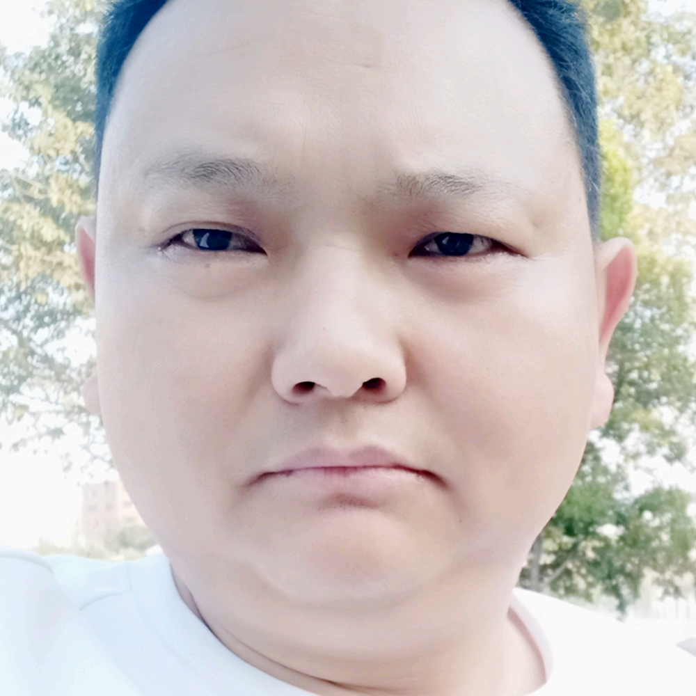 快乐流浪。的照片