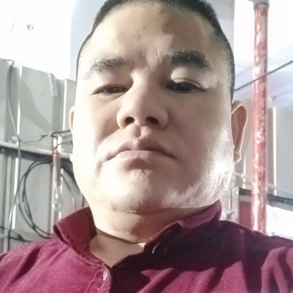 白猫踢孤單的照片