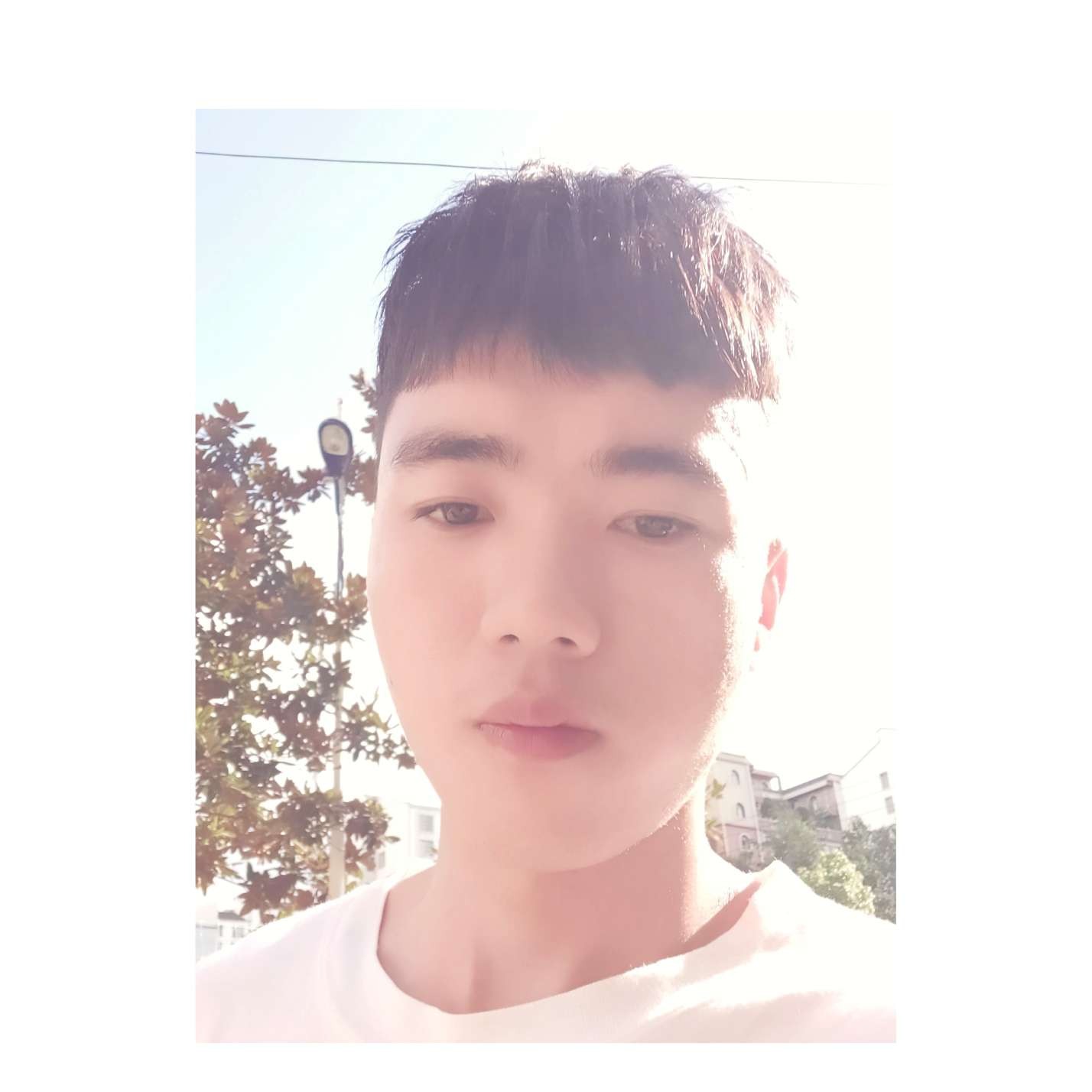 大方吃醋半夏的照片
