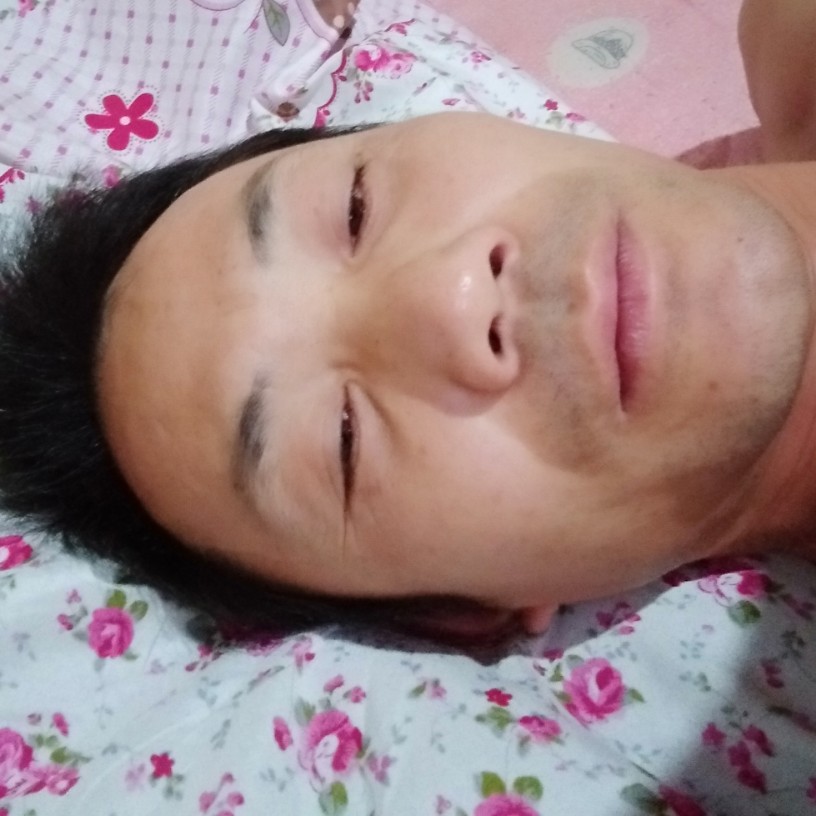 痴情等于书本的照片